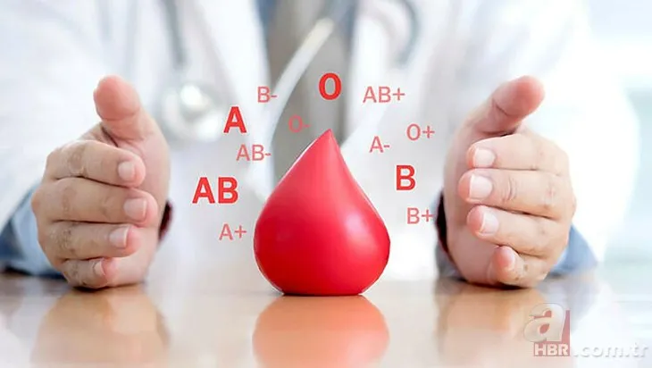 Hangi kan grubu nasıl beslenmeli? Kan grubunuza göre bu besinleri tüketin! Hangi kan grubu hangi eti ve sebzeyi yemeli?