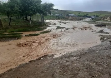 Elazığ’da sağanak ve dolu etkili oldu: 200 küçükbaş hayvan öldü