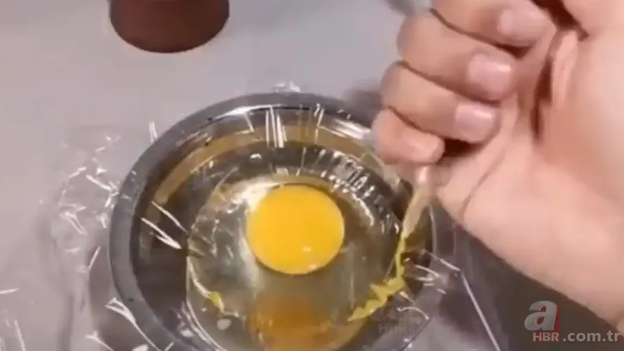 İşte civcivin yumurta içindeki gelişimi 🐣 İğne ile enjekte etti gün gün görüntüledi 🥚 18