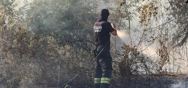 Tekirdağ'da ormana sıçrayan anız yangını kontrol altına alındı