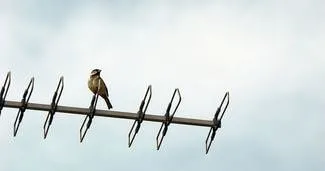 TV’de Twitter devrimi