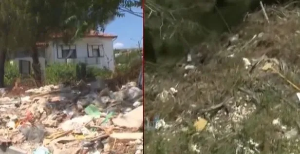 İzmir Çeşme’de çevre katliamı! Ormanlık alana moloz döktüler