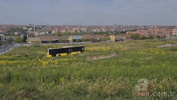 İstanbul’da İETT klasiği! Araziye uçan otobüs ekinleri ezdi
