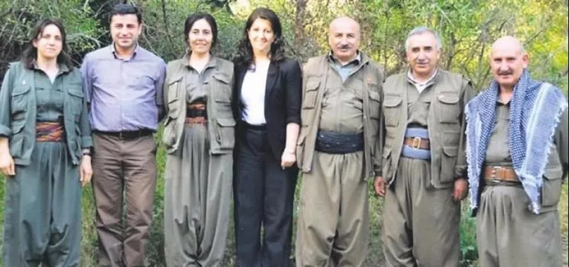 Son Dakika Iste Aihm In Kanatlari Altina Aldigi Gercek Selahattin Demirtas Teroru Adim Adim Boyle Planliyorlar