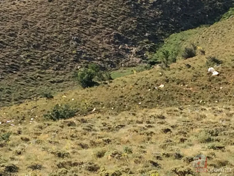 Van'da keşif uçağı düştü! Olay yerinden görüntüler... 3