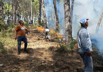 Antalya'da orman yangını! Ekipler olay yerinde