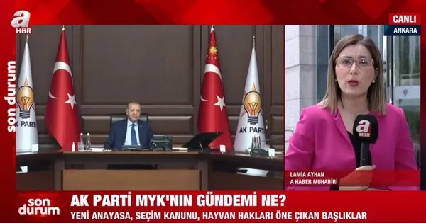 Türkiye'nin gözü AK Parti MYK'da! Toplantının önemli maddelerini neler oluşturuyor? - 4