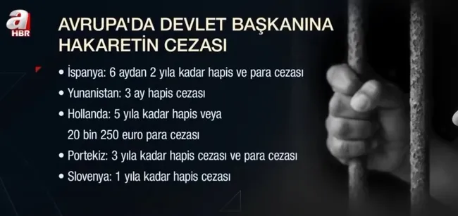 avrupada-devlet-baskanina-hakaretin-cezasi-ne-1643004676984.jpg Avrupa’da devlet başkanına hakaretin cezası ne? - 7