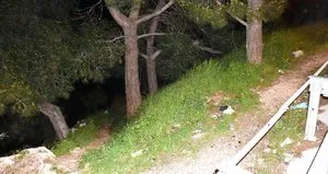 Ekipleri harekete geçirdi! Ormanlık alanda bulundu