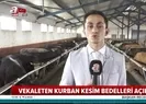 2019 kurbanlık fiyatları belli oldu | Kurbanlık fiyatları ne kadar? | Video