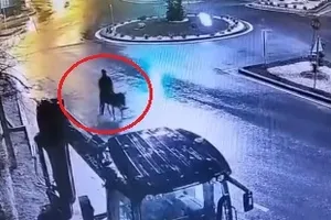Kuyumcu soyup eşekle kaçtı! İlginç savunma