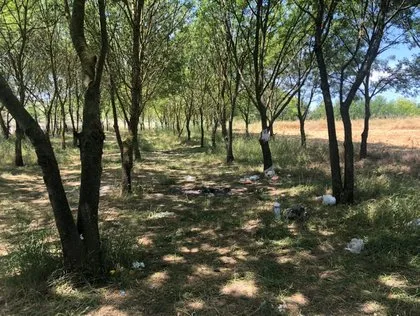 İstanbul Arnavutköy’de utandıran manzara: Çöplüğe çevirdiler