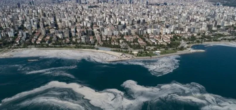 AK Parti'de müsilaj ve çevre kirliliğiyle mücadele! Katlamalı ceza geliyor