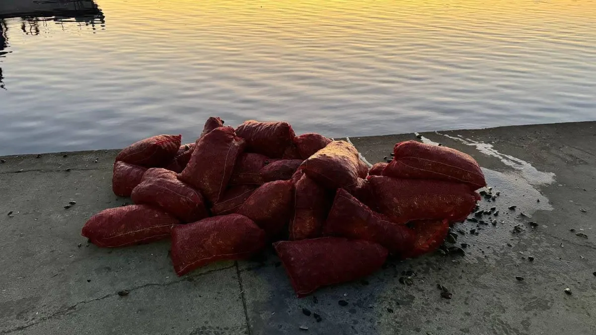 Üsküdar'da 1 ton kaçak midye ele geçirildi