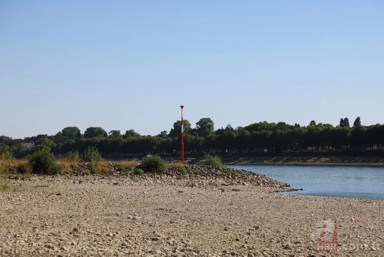 Avrupa'da 500 yılın kuraklığı! Dünya korkuyla izliyor 11