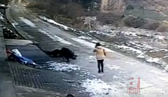 Bilecik’te 220 kiloluk dev domuz avcıya saldırdı! O anlar kamerada 11