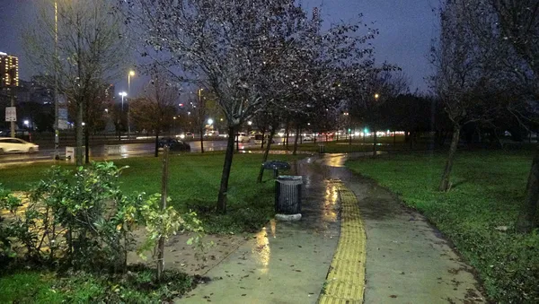 Türkiye kuraklık ile mücadele ederken CHP yağmurda çim suladı - 2