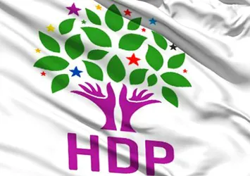 Van'da HDP'li 8 meclis üyesi görevden alındı