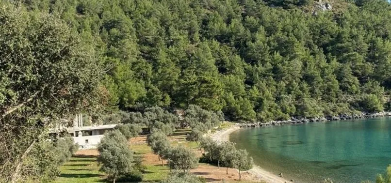 Molla İbrahim Koyu’na dikilen kaçak yapılar 3 Haziran’da yıkılacak