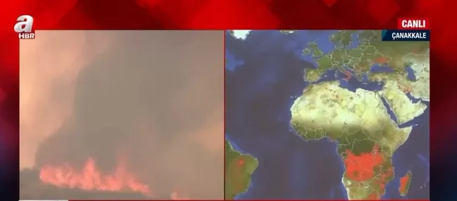 Kuzey Yarım Küre’de neden orman yangınları çıkıyor? Yangınların nedenleri neler?