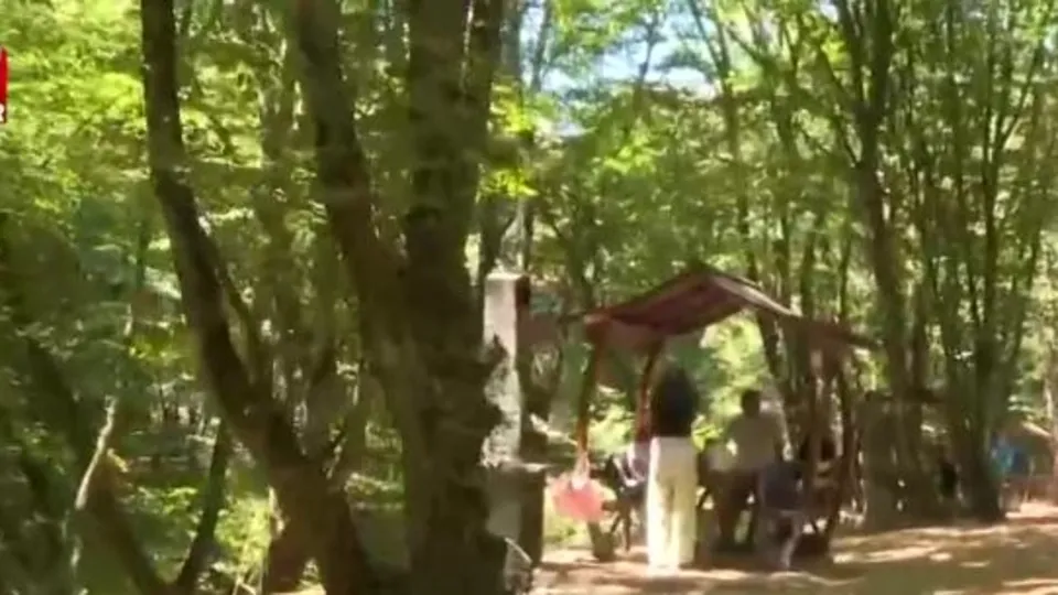 İstanbullular piknik alanlarına akın etti