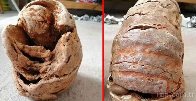 Yürüyüş yaptıkları sırada buldular! Fosil zannedip eve götürdükleri nesne bomba çıktı 1