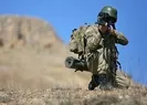 Gri listedeki terörist öldürüldü