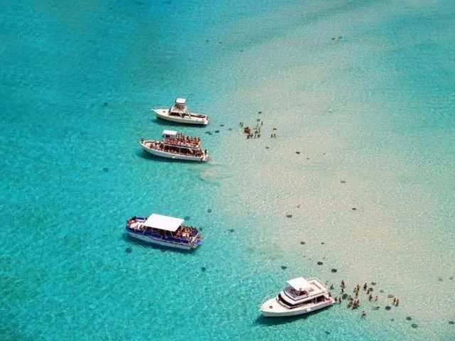 Vatozlarla yüzmek isteyenler Cayman Adaları’na akın etti