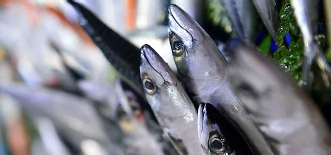 Lüferin fiyatı 150 liraya kadar çıktı