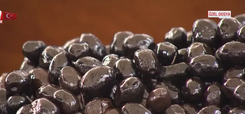 Paslı demir yer misiniz? Zeytinde akılalmaz hileler! Doğal zeytin nasıl anlaşılır?