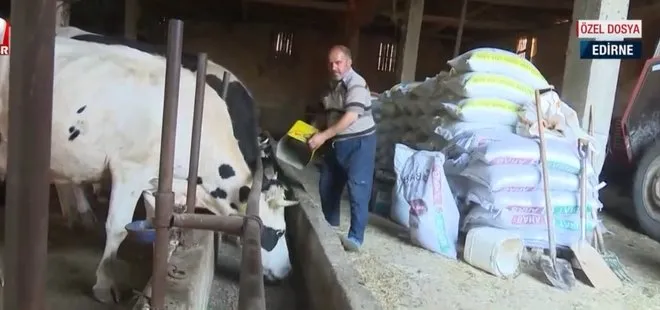 FOX TV’nin süt hayvancılığı algısı çürütüldü! Sür üreticileri FOX TV’ye tepki gösterdi