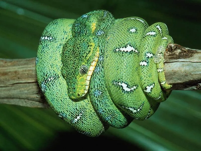 ahaber