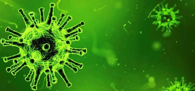 Son dakika: Koronavirüse karşı corona virüs “Türk Işın Tedavisi”