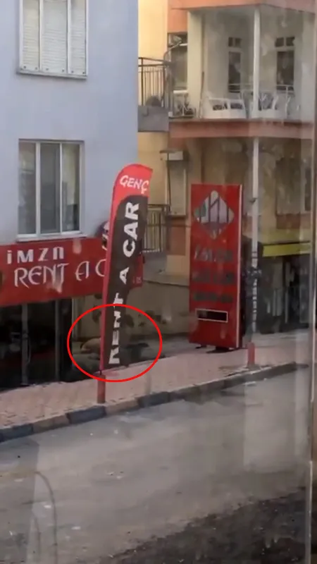 1642341265660.jpg Anne ve anneannesinin yardımı işe yaramadı! 5'inci kattan düştü - 2