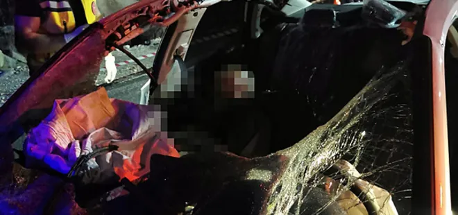 Denizli'de otomobil başıboş ata çarptı: 1 ölü 1 yaralı