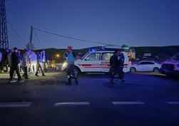 Muş-Bingöl yolunda korkutan kaza! Otomobil ata çarptı: 7 yaralı