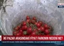 Ürün aynı fiyat farklı!