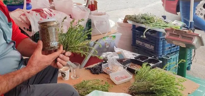 her-derde-deva-antibiyotik-gorevi-goruyor-toplayana-ek-gelir-kaynagi-oluyor-cayi-bile-var-1715679761764.jpg Her derde deva antibiyotik görevi görüyor! Toplayana ek gelir kaynağı oluyor çayı bile var - 3