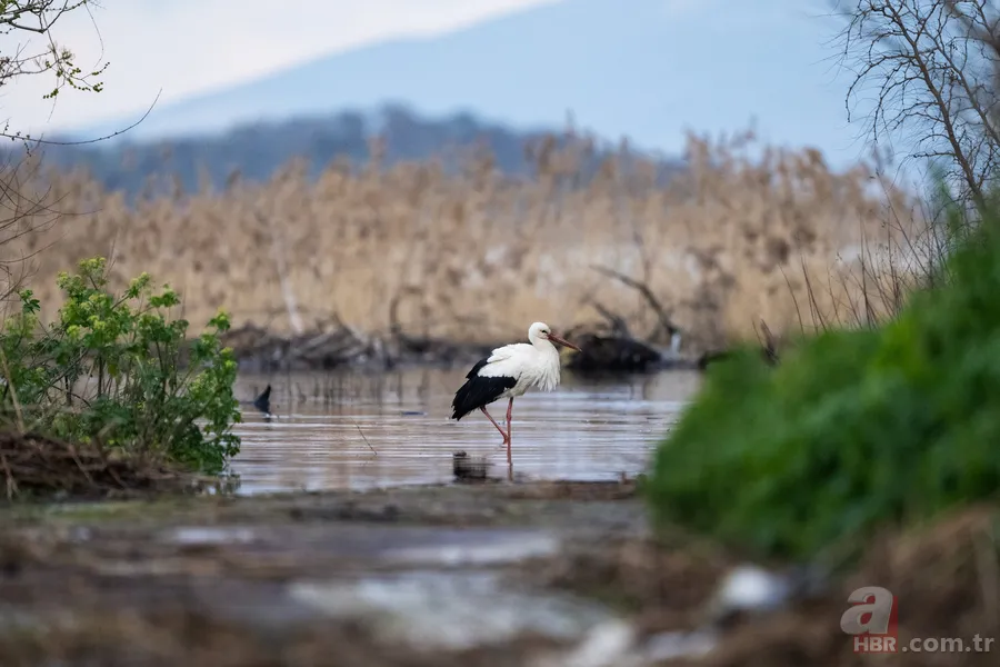 Yaren Leylek 15. yılında yine Adem Amca’nın kayığında 12