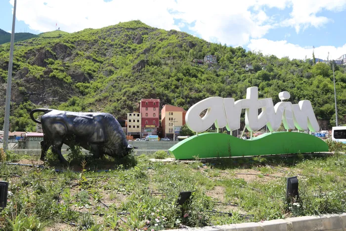 Son dakika: Artvin’de vaka sayıları yüzde 75 oranında düştü - 1