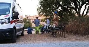 Abdest alırken köpekler saldırdı! Yaşamını yitirdi...