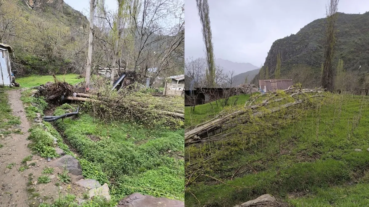 Çukurca'da şiddetli fırtına ağaçları devirdi