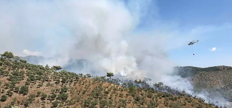 Son Dakika Mugla Milas Ta Orman Yangini Cikti A Haber Muhabiri Son Durumu Aktardi Video Izle Flas Haber