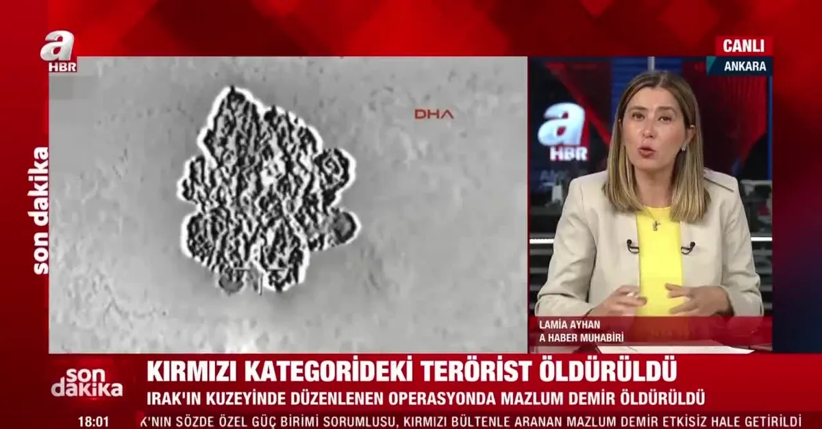 PKK'nın sözde sorumlularından Mazlum Demir MİT ve TSK operasyonuyla etkisiz hale getirildi