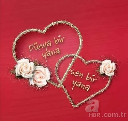 Sevgililer Günü hediyesi bayan için erkek için neler alınabilir? 14 şubat Sevgililer Günü hediye fikirleri 24