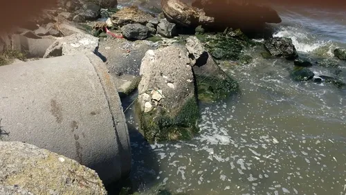 Küçükçekmece Gölü’nü kaderine terk eden CHP’li İBB’ye tepki: Marmara’yı da yok eder