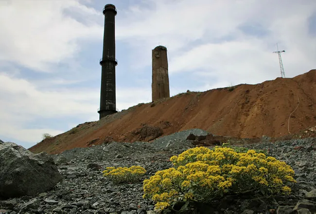 Elazığ’da tarihi bacalar ilçenin simgesi haline geldi