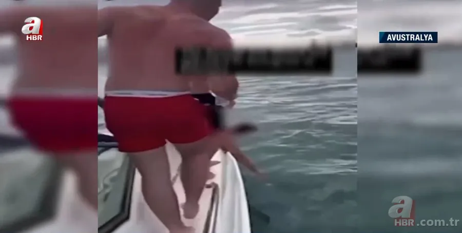 Katil balinaların üzerine balıklama atladı! Bedelini ağır ödedi 1