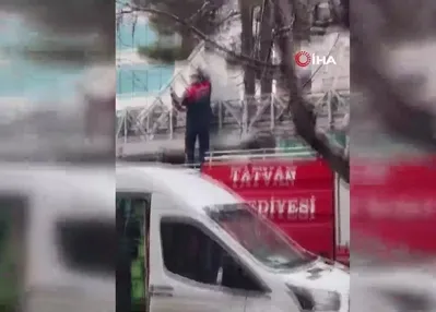 Ağaçta mahsur kalan kedi kurtarıldı