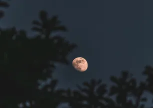 Kendini de partnerini de yorar: Kıskançlık dozunu kaçıran burçlar